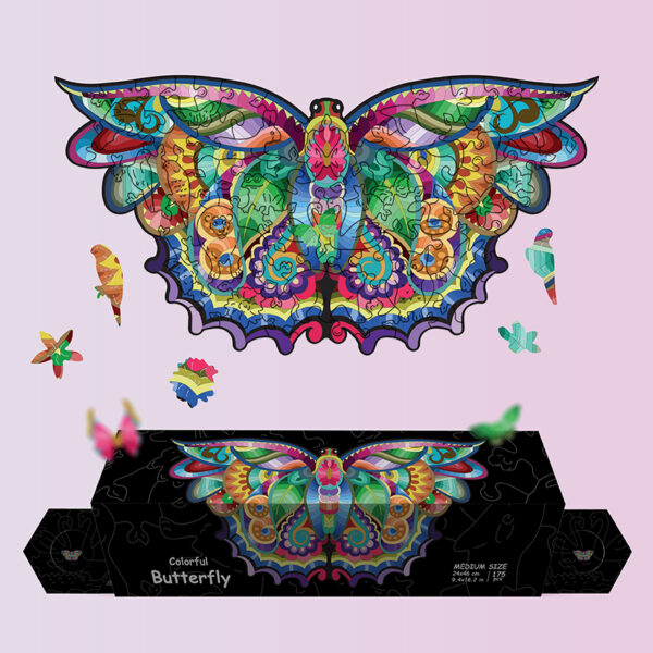 Colorful Butterfly